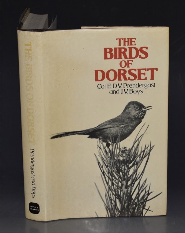 The Birds of Dorset.
