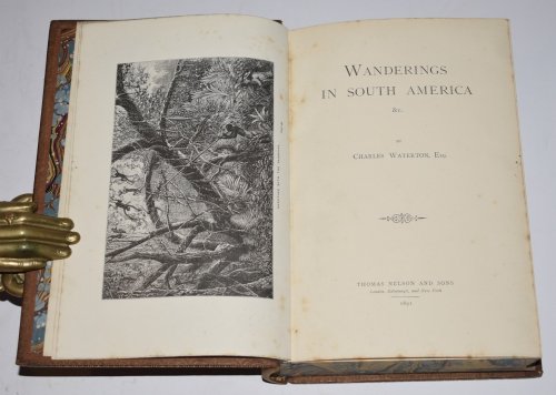 Wanderings in South America.