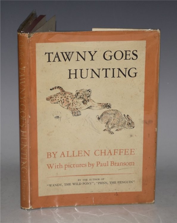 Tawny Goes Hunting. With pictures by Paul Bransom.
