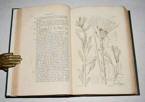 Amaryllidaceae; Preceded By An Attempt To Arrange The Monocotyledonous Orders, And Followed By A Treatise On Cross-Bred, Vegetables, And Supplement. With Forty-Eight Plates,