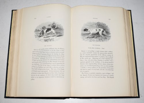A History of British Quadrupeds, Including the Cetacea. Illustrated by Nearly 200 Woodcuts.