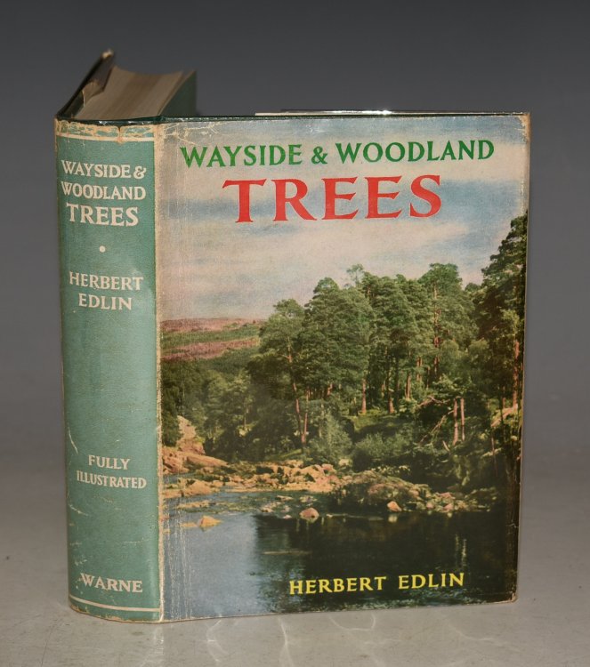 Wayside & Woodland Trees. The Wayside and Woodland Series. A Guide to the Trees of Britain and Ireland.