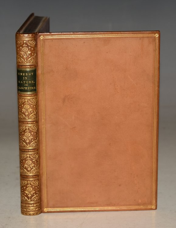 Energy In Nature, Being with some addition, the substance of a course of Six Lectures upon the Forces of Nature and Their Mutual Relations, Delivered under the auspices of the Gilchrist Educational Trust, Autumn 1881.