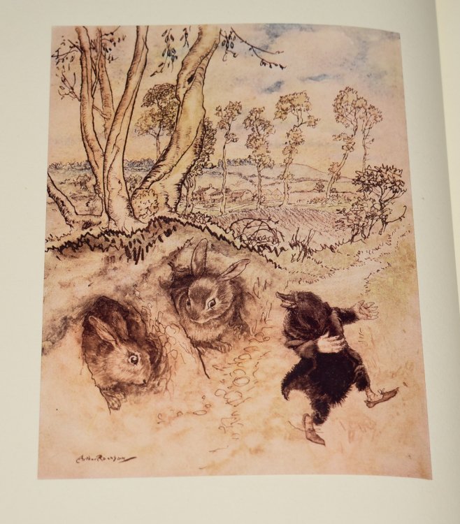 The Wind In The Willows. One Hundredth Edition. Introduction by A. A. Milne. Illustrations by Arthur Rackham. Limited Numbered Edition.