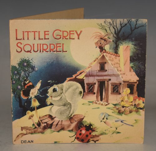 Little Grey Squirrel