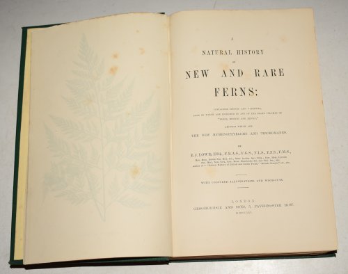A Natural History of New and Rare Ferns. Containing Species and Varieties, None of Which are Included in Any of the Eight Volumes of Ferns, British and Exotic, Amongst Which are the New Hymenophyllums and Trichomanes