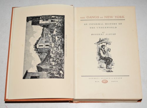 The Gangs of New York: An Informal History of the Underworld.
