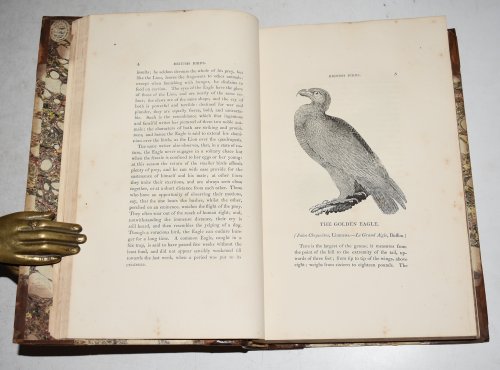 A History Of British Birds. The Figures Engraved on Wood By T. Bewick. In Two Volumes. Containing The History And Description of LAND Birds, and WATER Birds. In Two Volumes.
