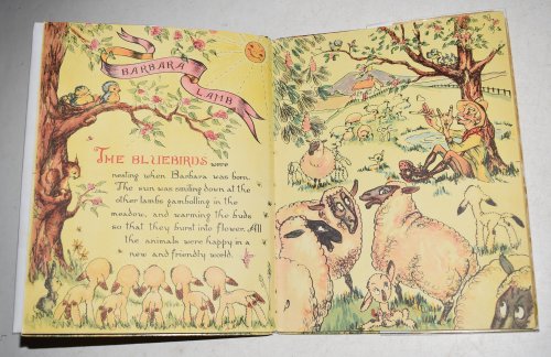 Barbara Lamb Written & Drawn by Cam.