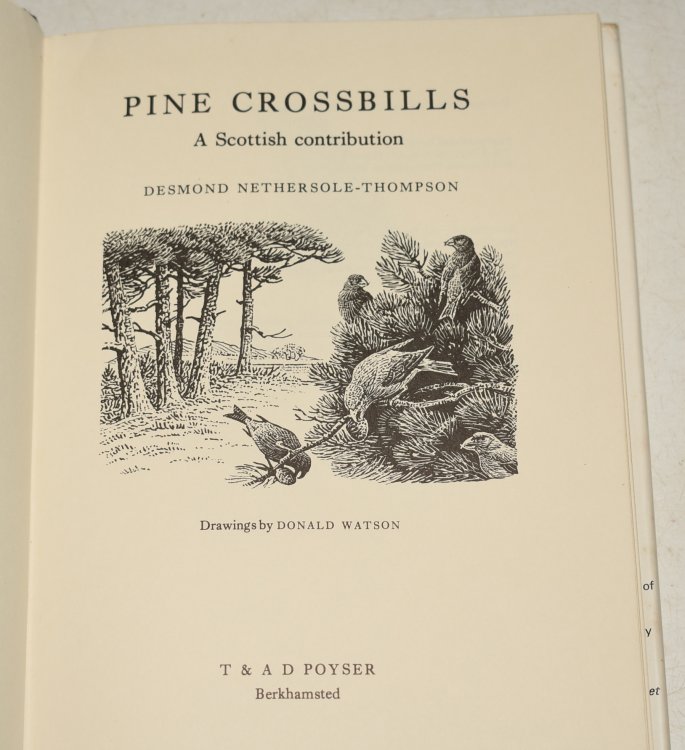 Pine Crossbills. Illustrations by Donald Watson.