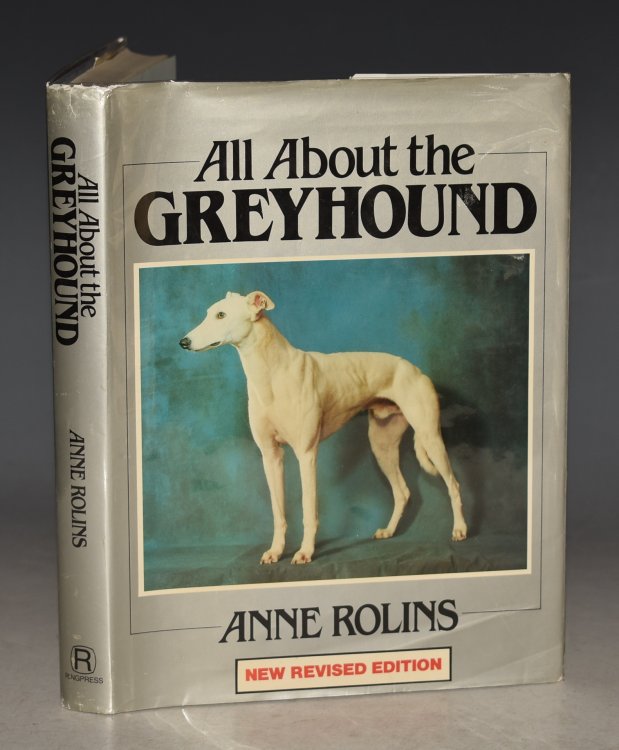 All about the greyhound