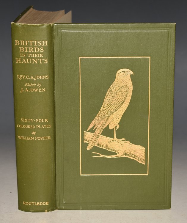 British Birds in their Haunts. With a Glossary of Common and Provincial names and of Technical Terms. Edited and revised by J. A. Owen.