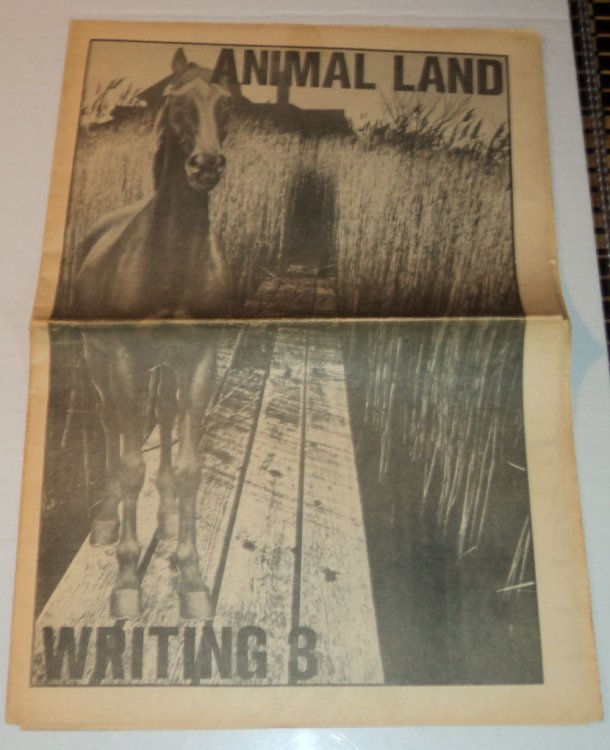 WRITING 8: ANIMAL LAND.