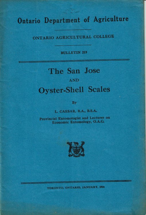THE SAN JOSE AND OYSTER-SHELL SCALES. (Cover title).