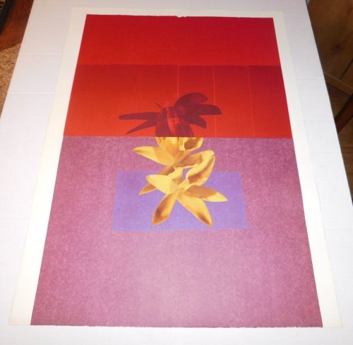 AN ORIGINAL LITHOGRAPHIC COLLAGE OF A FLOWER by DWIGHT DAYMAN consisting of patterns and images lithographed on layers of tissue and paper laid over art paper.