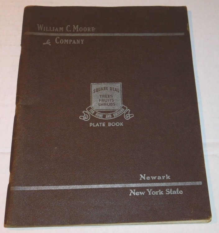 WILLIAM C. MOORE & COMPANY: SQUARE DEAL TREES, FRUITS, SHRUBS FOR HOME AND ORCHARD: PLATE BOOK. [An Original Plate Book Trade Catalog for the use of traveling Salespeople].