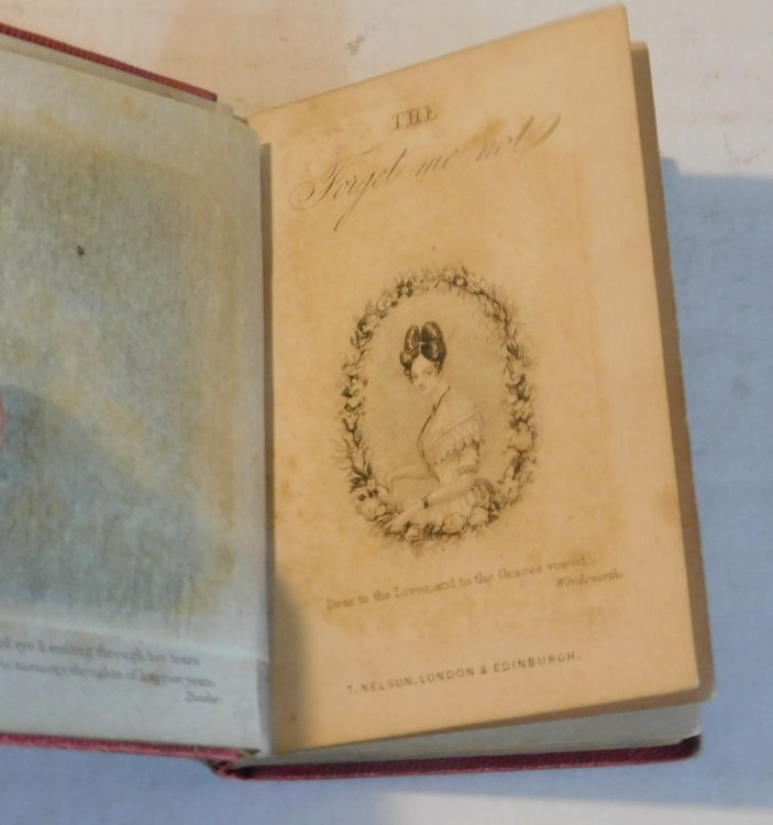 Image for THE FORGET-ME-NOT. THE FORGET-ME-NOT.