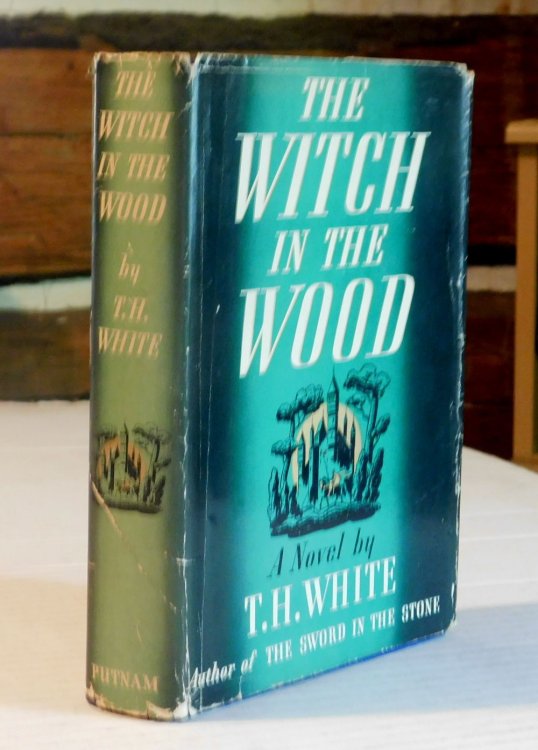 THE WITCH IN THE WOOD. With Decorations by the Author.