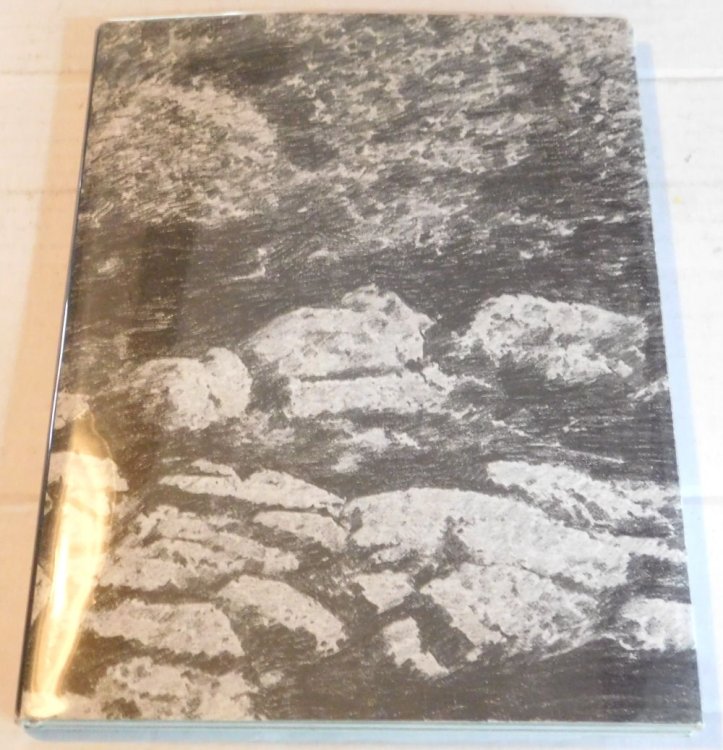 BIRGIR ANDRESSON: ICELAND. XLVI International Art Exhibition, La Biennale di Venezia 1995. (Catalog).