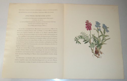 ORIGINAL PROSPECTUS WITH A COLOR PLATE FOR 