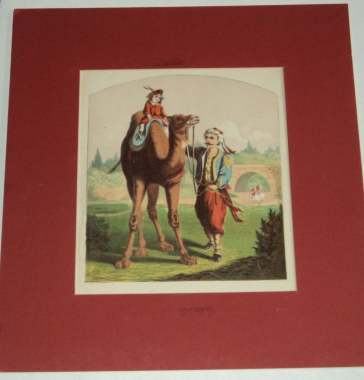 [LITTLE CHARLEY'S VISIT: WHAT HE SAW IN CENTRAL PARK]. A SUPERB CHROMOLITHOGRAPH DEPICTING LITTLE CHARLEY MOUNTED ON A CAMEL IN NEW YORK CITY'S CENTRAL PARK.
