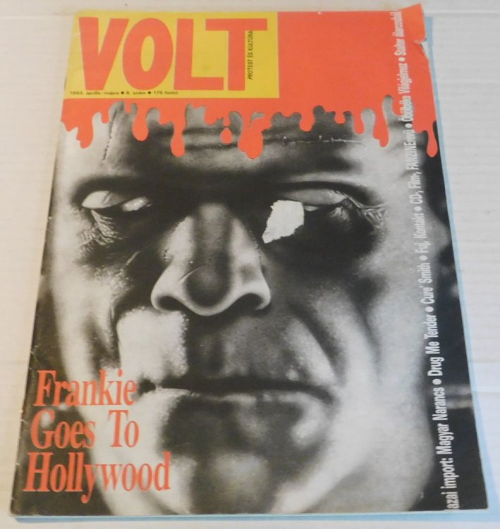 VOLT: PROTEST ES KULTURA.