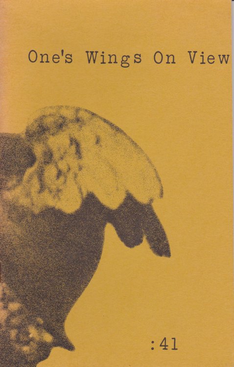 ONE'S WINGS ON VIEW. (The Wormwood Review, Volume 11, Number 1, Issue forty one).