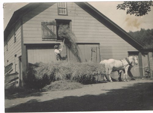 ORIGINAL SOFT HUED GELATIN SILVER PRINT PHOTOGRAPH OF A FARMER PITCHING HAY INTO A BARN'S HAYLOFT.