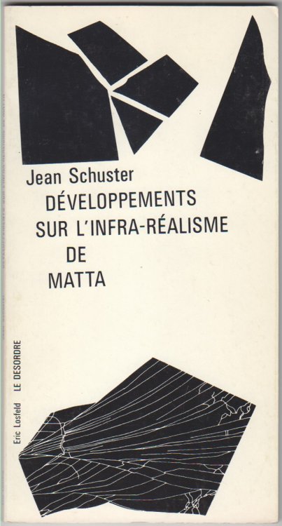 Developpements sur l'Infra-Realisme de Matta
