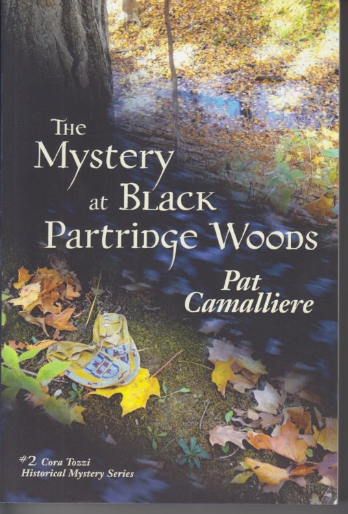 The Mystery of Black Partridge Woods