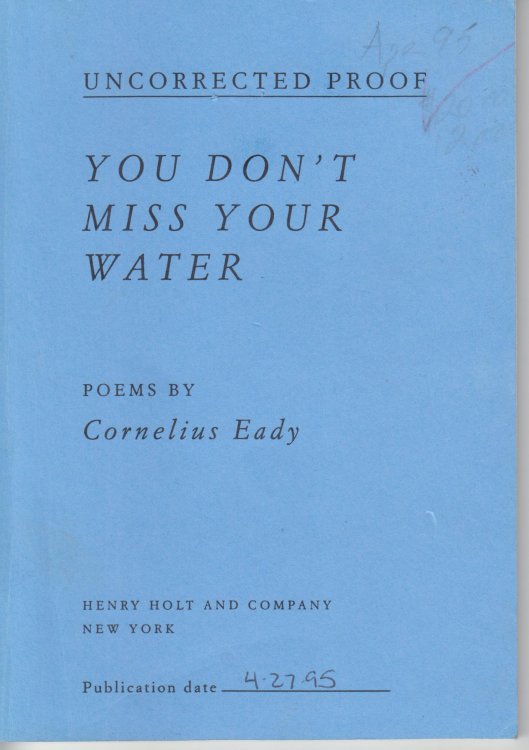 You Don't Miss Your Water