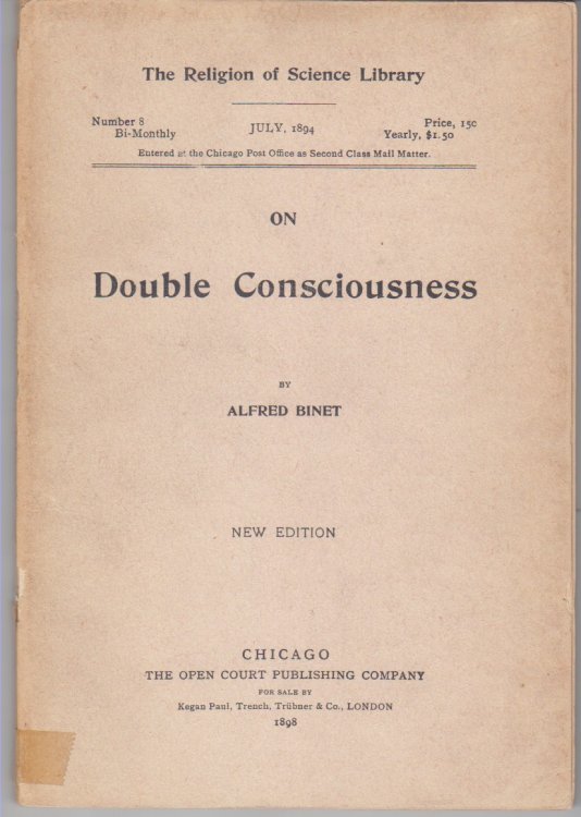 On Double Consciousness
