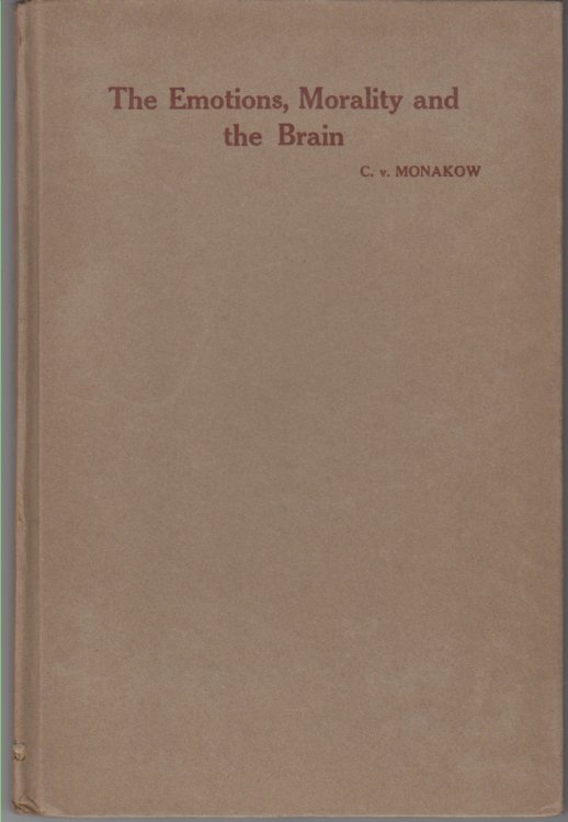 The Emotions, Morality And The Brain