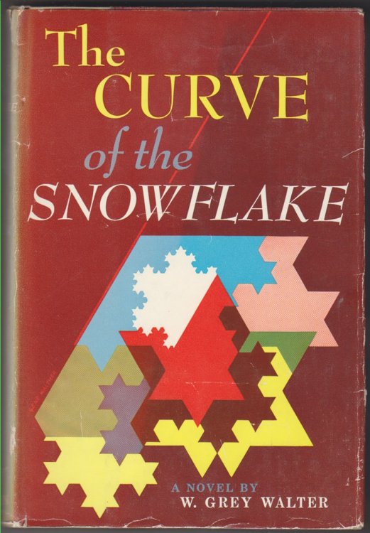The Curve of the Snowflake