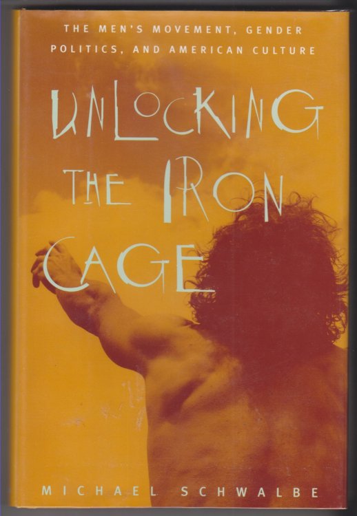 Unlocking the Iron Cage The Men's Movement, Gender Politics, and American Culture