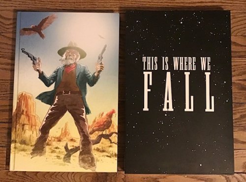 This is Where We Fall (an illustrated novel)