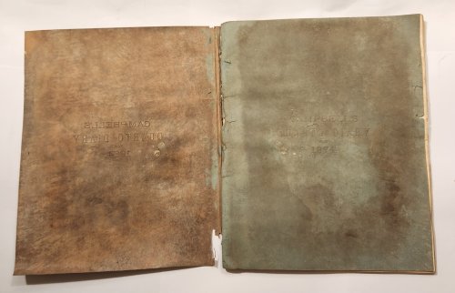 Diary [Manuscript]