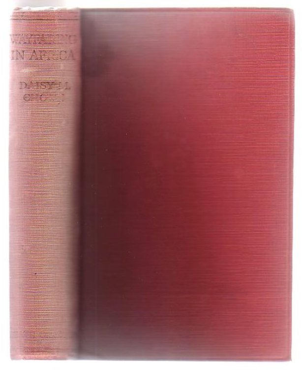 Wayfaring In Africa : A Woman's Wanderings From The Cape To Cairo