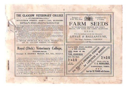 Scottish Farmer Album For 1919