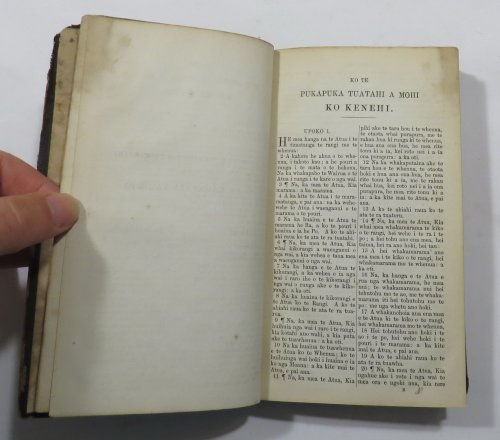 Ko Te Tahi Wahi O Te Kawenata Tawhito [Maori Bible - Genesis to Joshua]