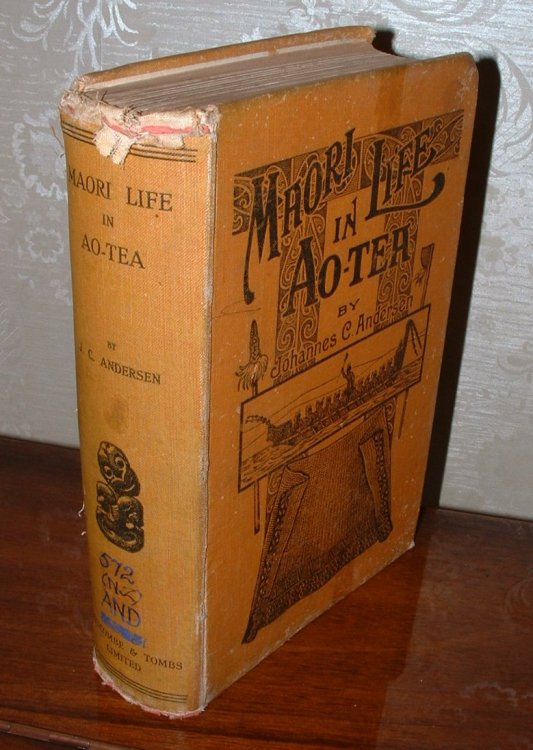 Maori Life in Ao-tea