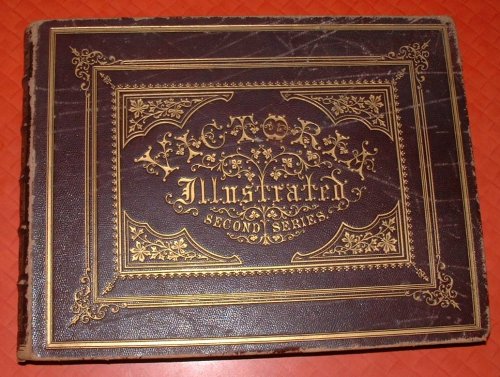 Victoria Illustrated: Second Series