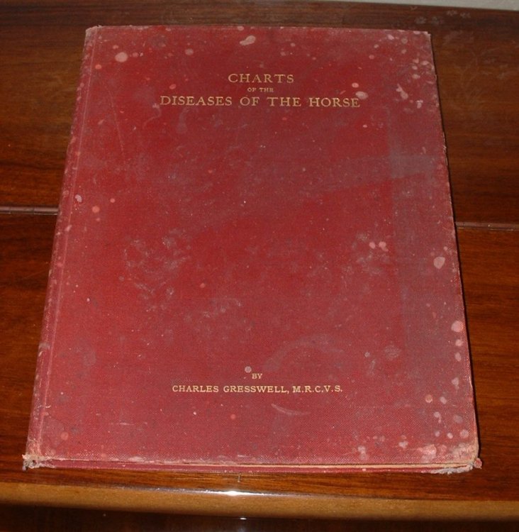 Charts of the Diseases of the Horse with Explanatory Notes and Prescriptions