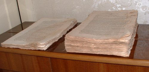 Report from the Select Committee on New Zealand; together with the minutes of evidence, appendix and index.