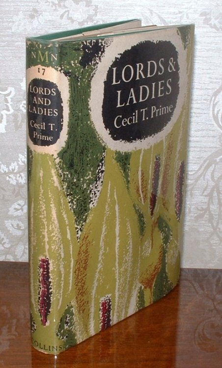 Lords & Ladies
