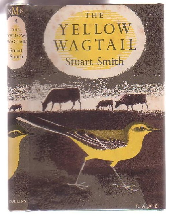 The Yellow Wagtail