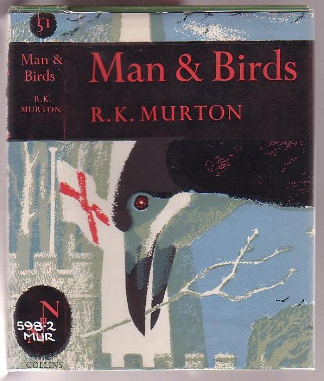 Man and Birds
