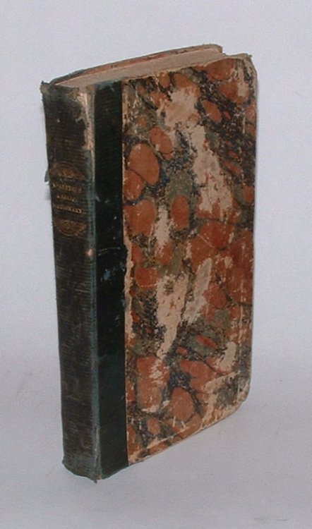 A Pronouncing Gaelic Dictionary: To Which is Prefixed A Concise but Most Comprehensive Gaelic Grammar