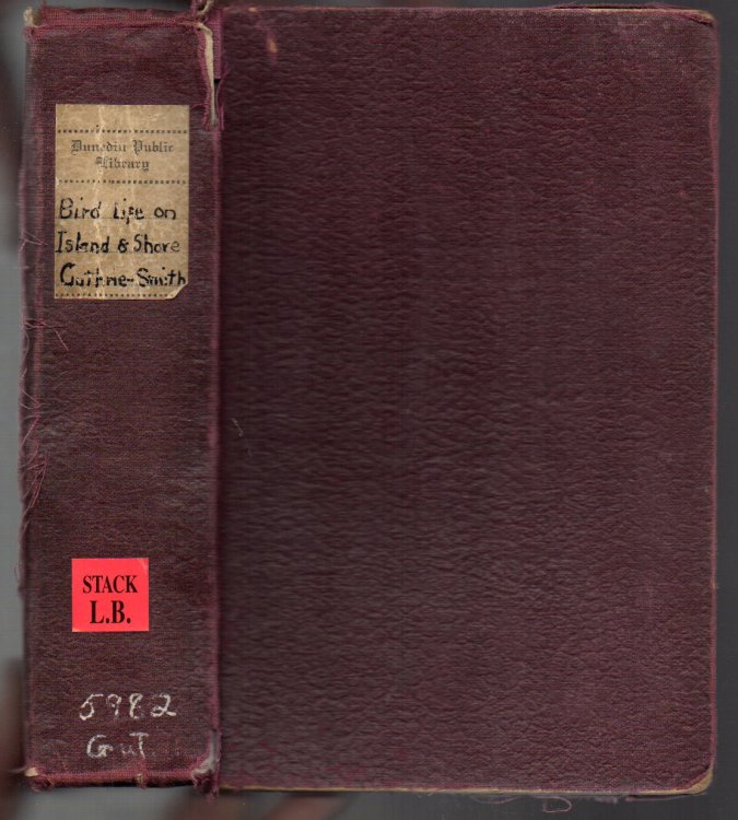 Image for Bird Life on Island and Shore Bird Life on Island and Shore