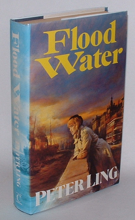 Flood Water